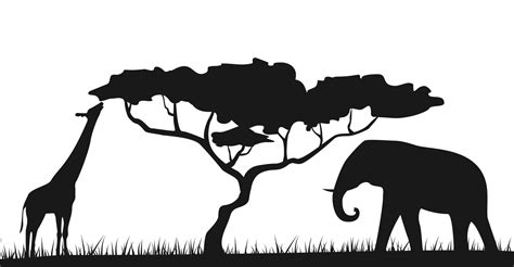 Download Safari Animals Patterns Template For Silhouette