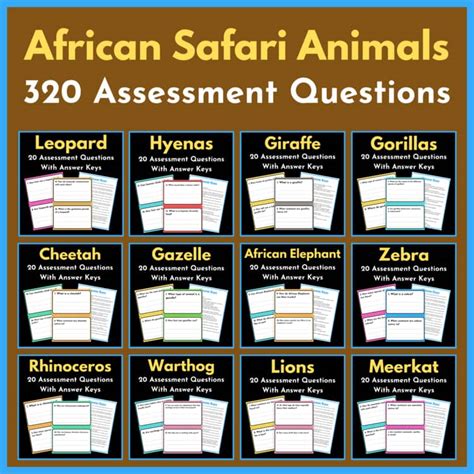 Safari Assessment
