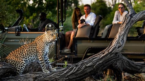 Safari Booking Experience