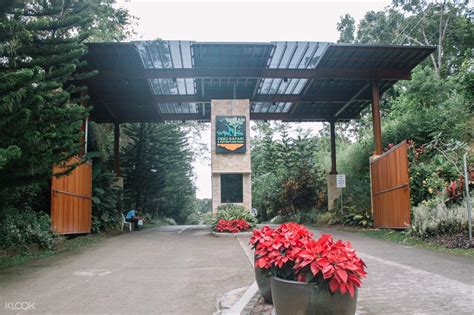 Safari Entrance