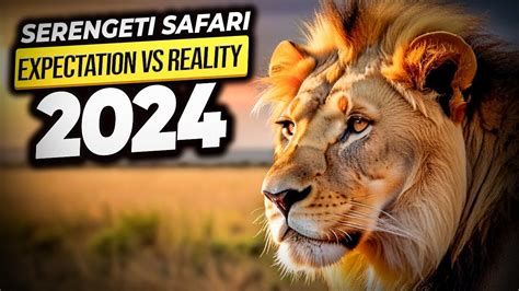 Safari Expectations Vs Reality