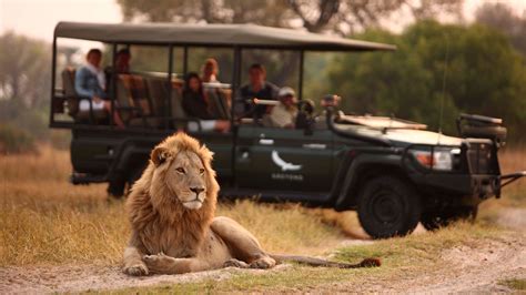 Safari Game Drive Options