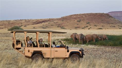 Safari Group Tours