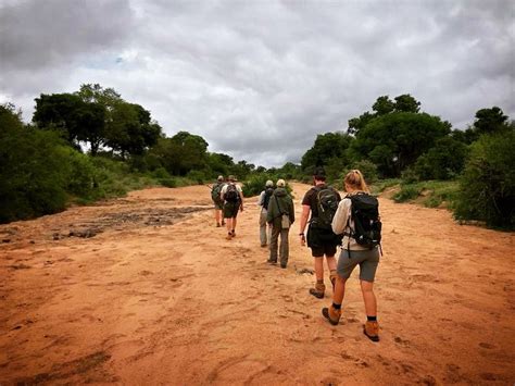 Safari Guide Qualifications