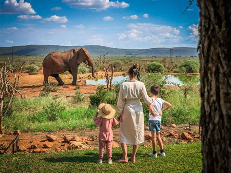 Safari Holiday Tips