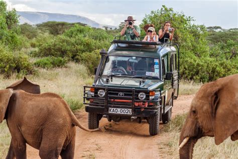 Safari Jeep Drive