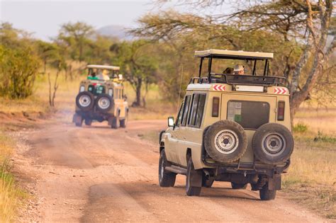 Safari Jeeps