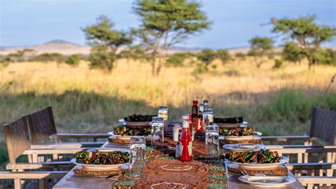 Safari Lunch Experience
