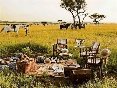 Safari Picnic