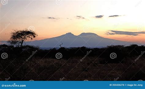 Safari Sunset Tsavo