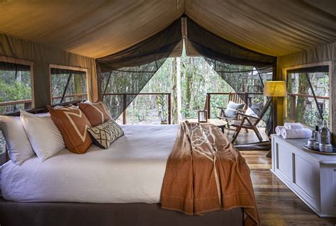 Safari Tent Interior