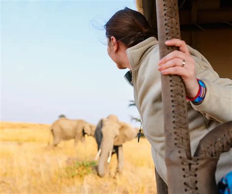 Safari Tour Options