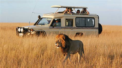 Safari Transportation