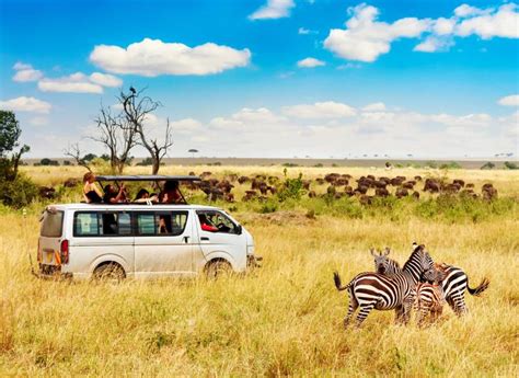 Safari Trip Planner