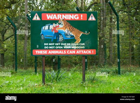 Safari animals danger