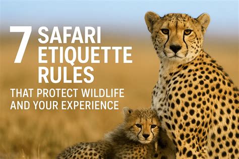 Safari etiquette
