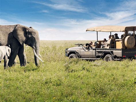 Safari experiences