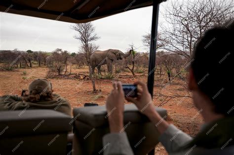 Safari Photographing