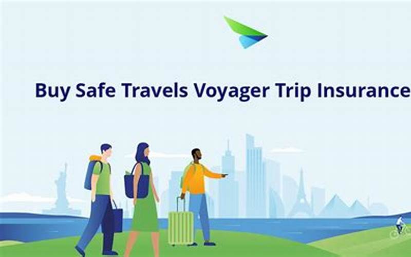 Safe Travels Voyager Purchase