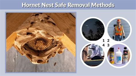 Safe Removal Methods