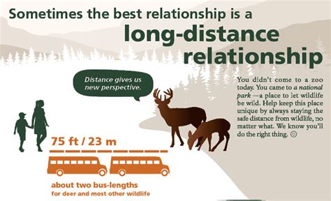 Safe Wildlife Distance