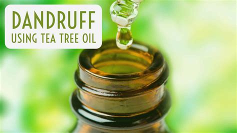 How to Safely Use Tea Tree Oil For Dandruff Treatment