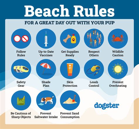 Safety First: Essential Beach Tips for Your Dog