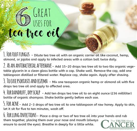 Safety First: Essential Tips for Using Tea Tree Spray
