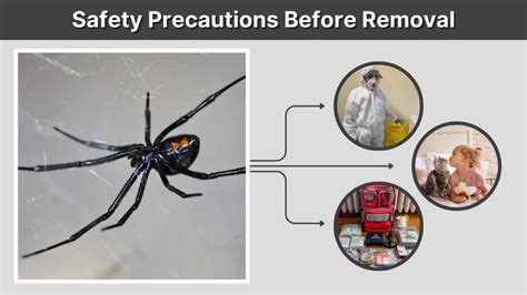 Safety First: Precautions Before Attempting Removal