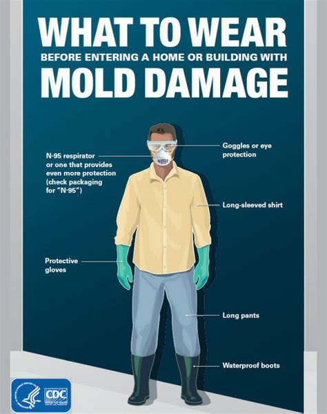 Safety First: Preparation for Mold Removal