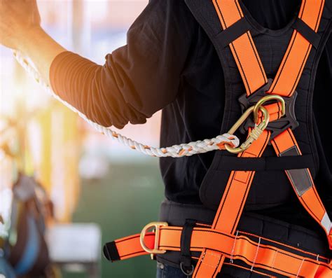 Safety Harness Training