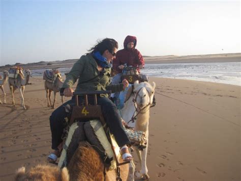 Safety Tips Dromedary Ride