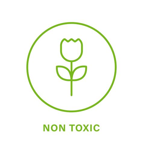 Safety and Non-Toxicity