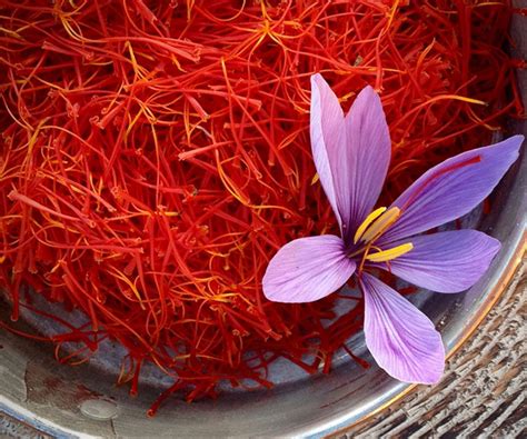 Saffron