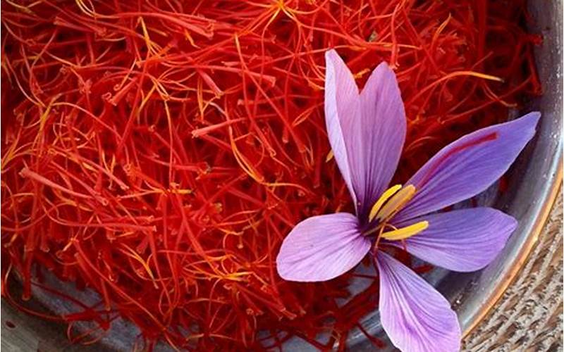 Saffron Untuk Jerawat: Cara Menghilangkan Jerawat Dengan Bumbu Saffron