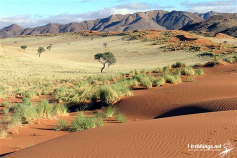 Sahara Desert Alternatives