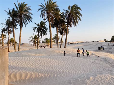 Sahara Desert Djerba Review