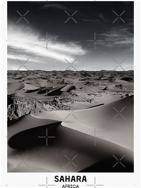 Sahara Desert Essentials
