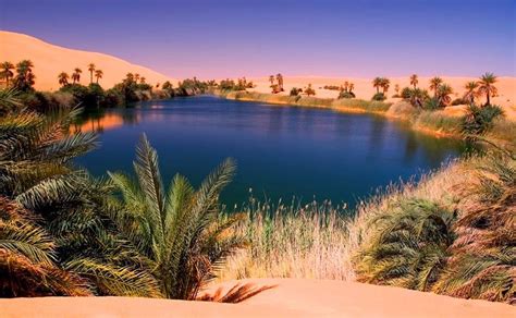 Sahara Desert Oasis