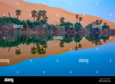 Sahara Desert Reflections