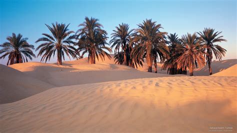 Sahara Photography Tour