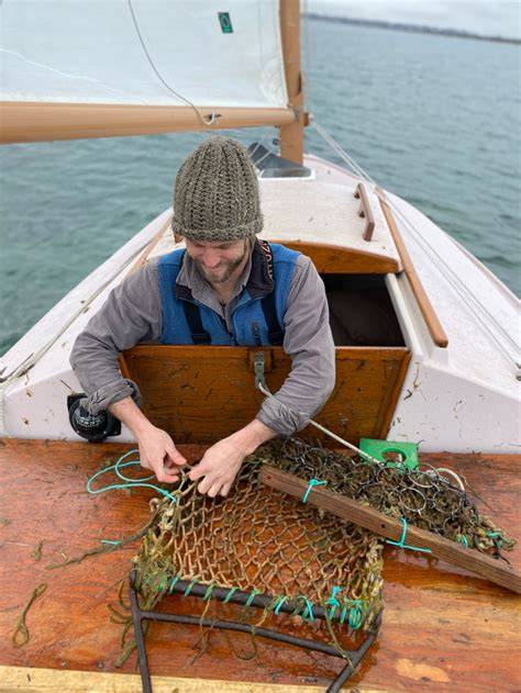 Sailing For Scallops