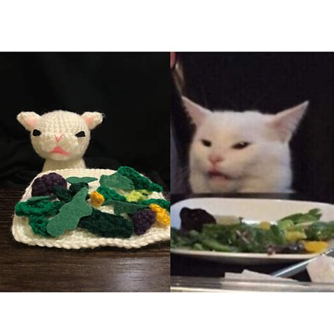 Salad Cat Meme