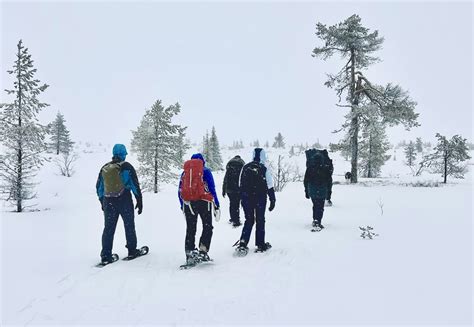 Salen winter activities