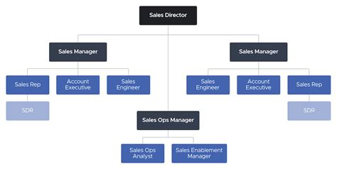 Sales Team Structure Template
