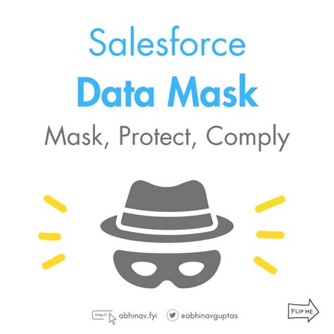 Salesforce Data Mask