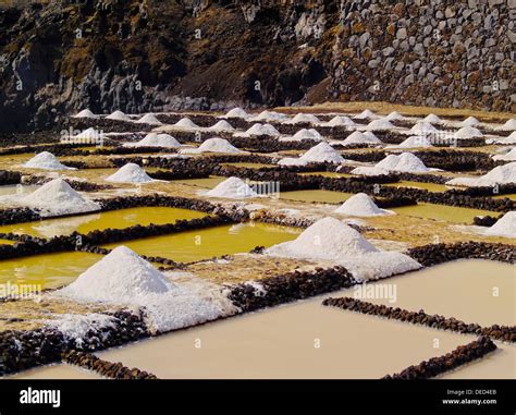 Salinas Salt Ponds