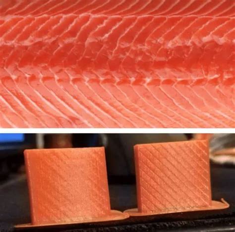 Exploring the Perfect Blend of Innovation and Sustainability With Salmon Skin 3D Printing: A Revolutionary Solution for a Greener Future