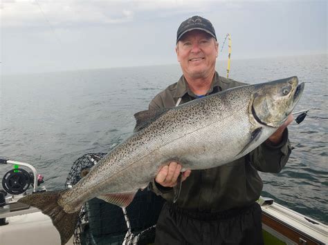 Salmon fishing in Lake Erie 2017