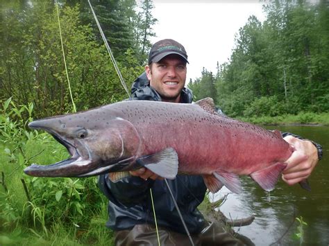 Salmon Fishing in Alaska